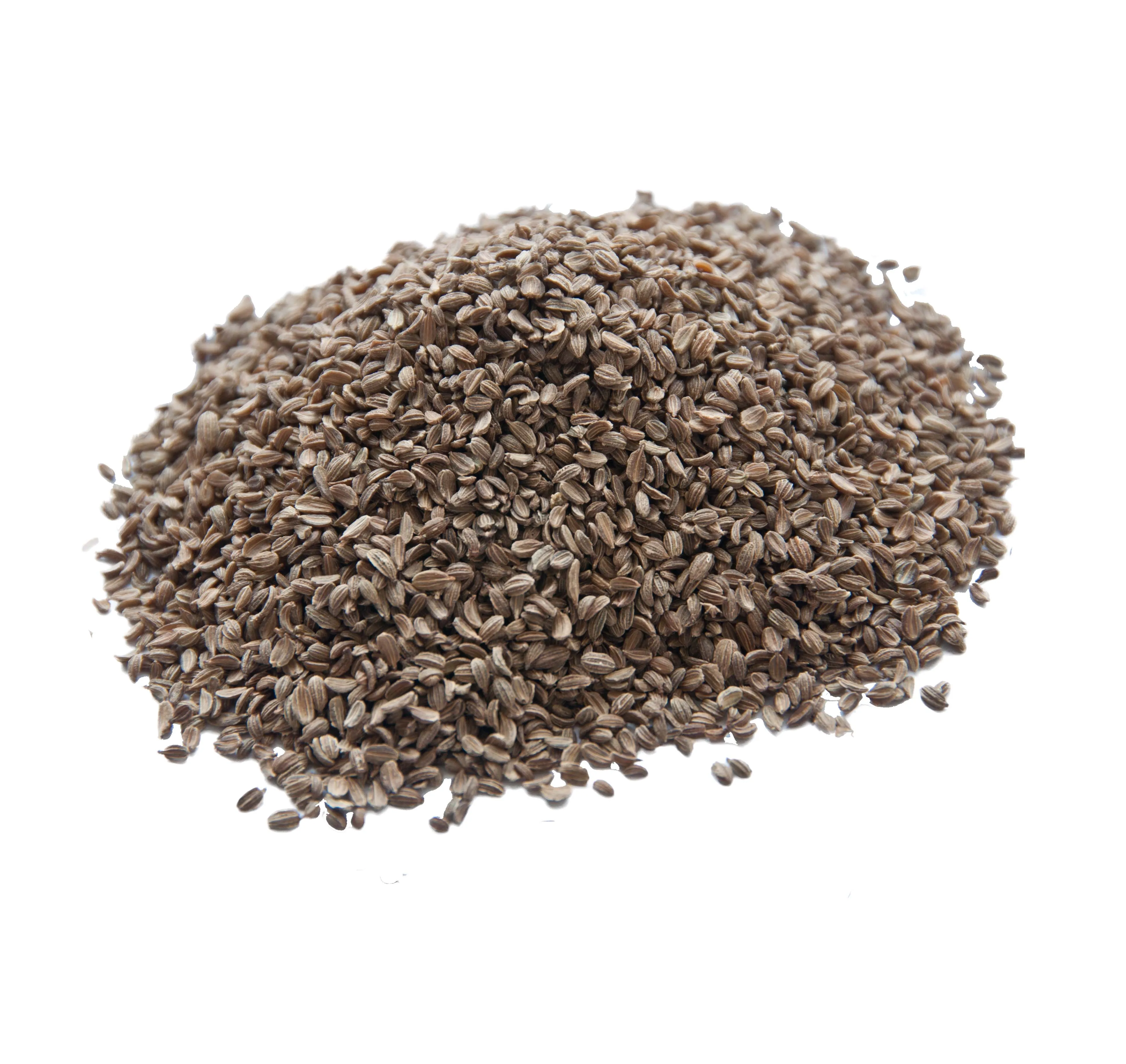 Best grade high quality carrot seed essential oilfor antiseptic use from India