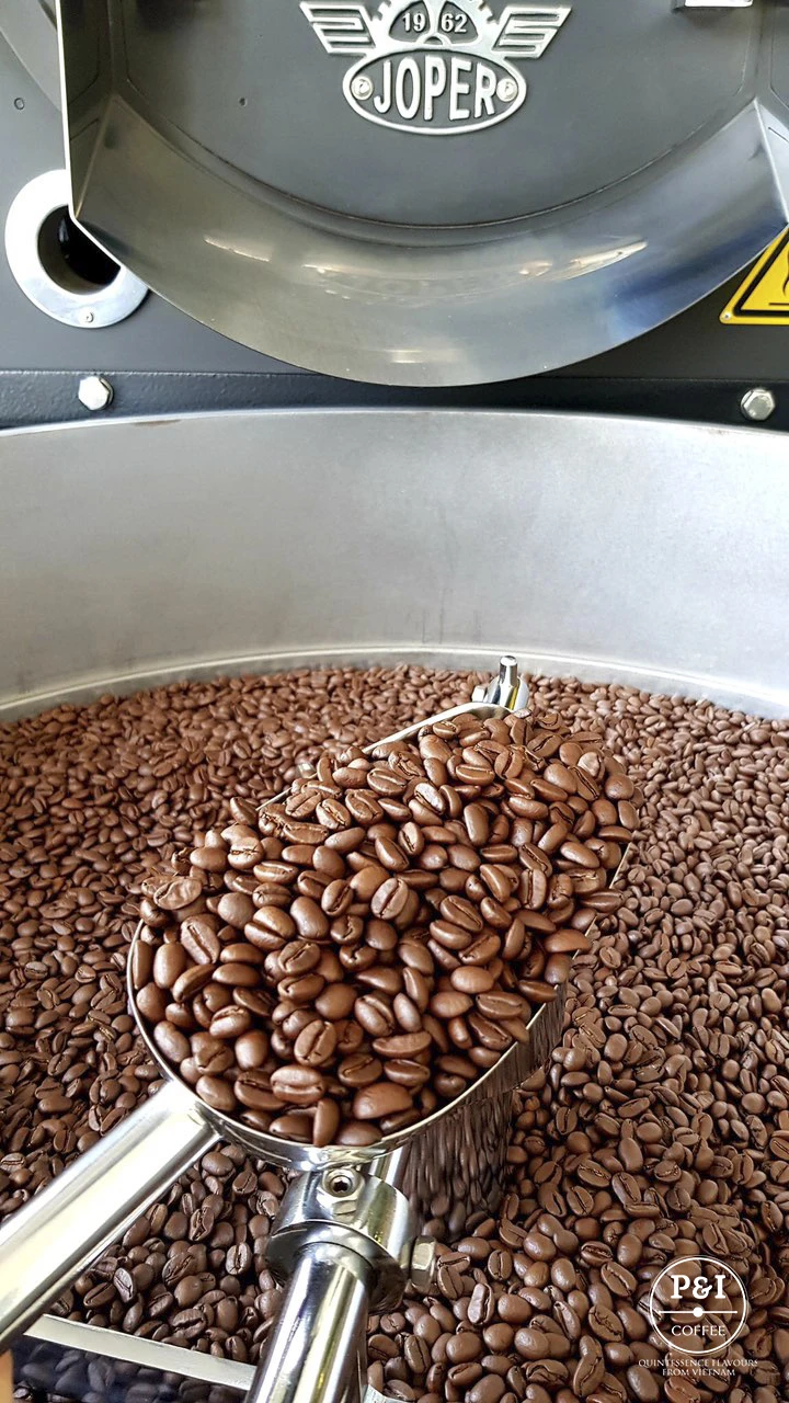  Сделано в Вьетнаме оптовая продажа зерна кофе Зеленые органические кофейные