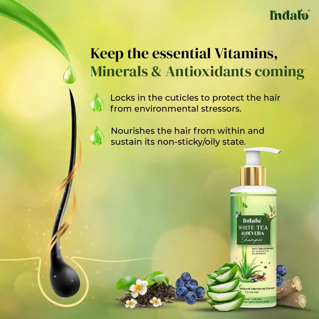 Top Quality Vegan Aloe Vera Shampoo Smoothing free shampoo and conditioner set 200 ml bottle Manufacturer OEM private label