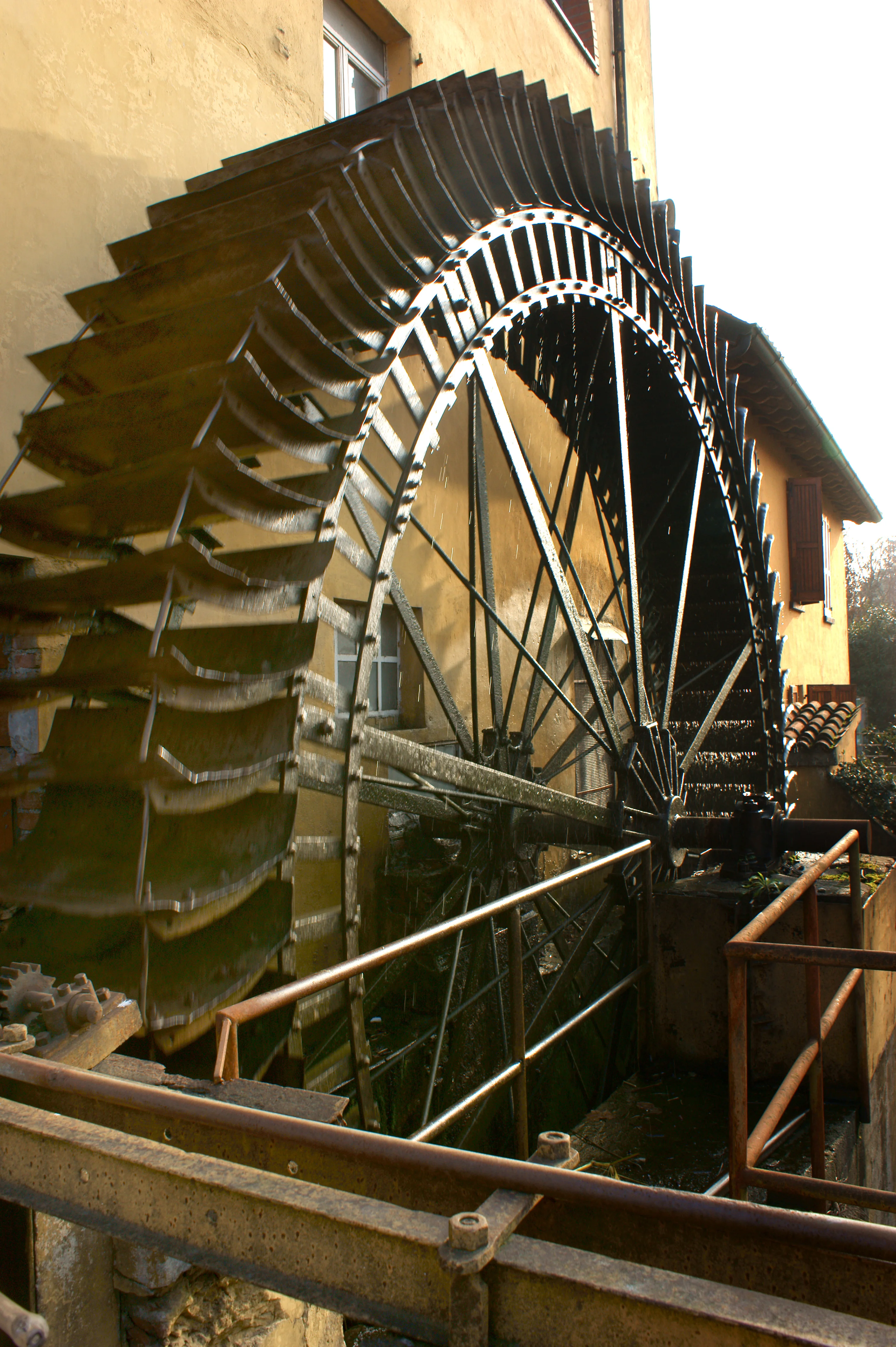 100% made in Italy Corn flour white for polenta  1bags/1 ton polenta ready in 40 minutes kosher glutenfree