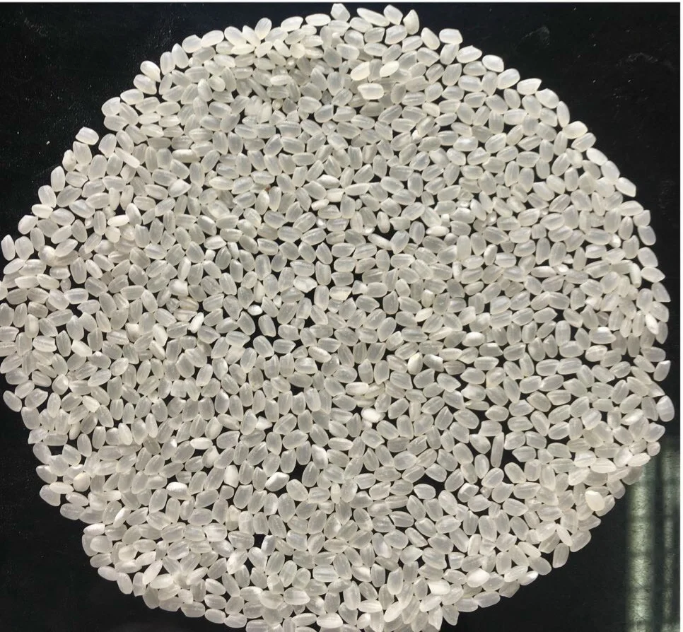 Japonica Rice 5% broken made in Vietnam