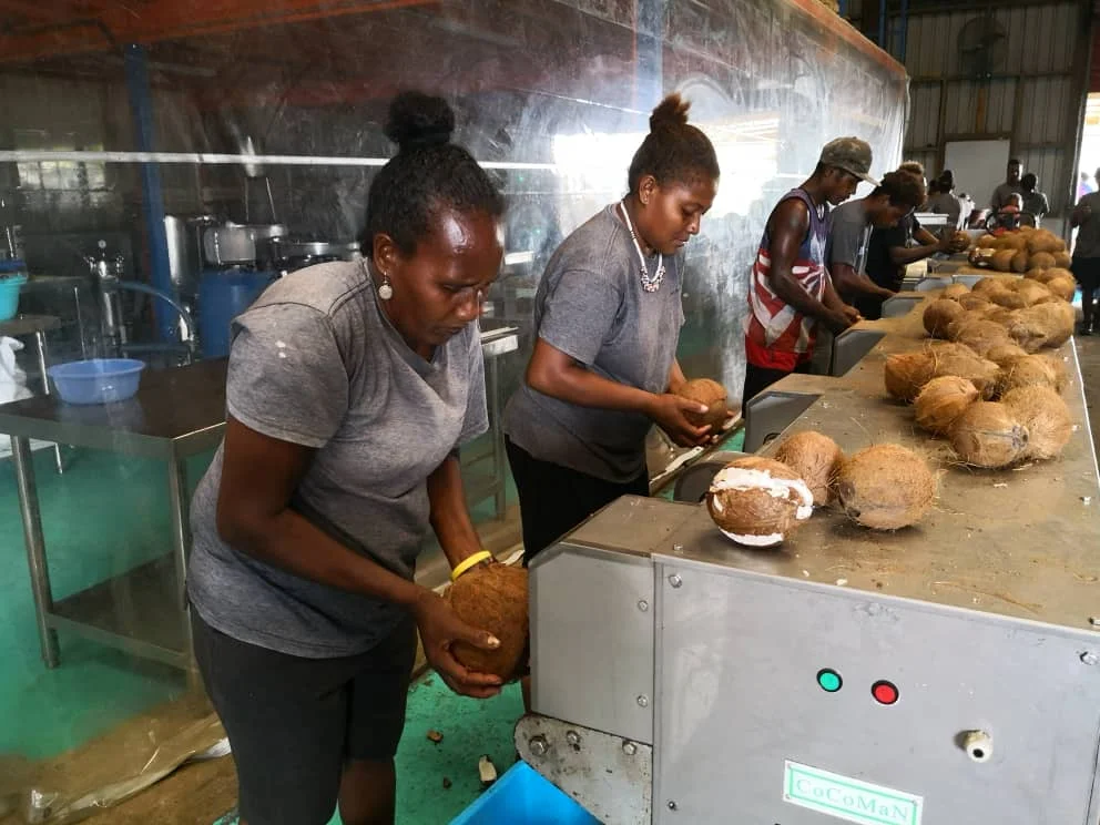 Desiccated Coconut 25kg bag high quality food ingredient