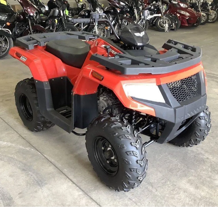 Clean ATV 2019 для продажи! Изготовлен работы и долгого дня на тропе/модели автоматический/протестированный гарантированный