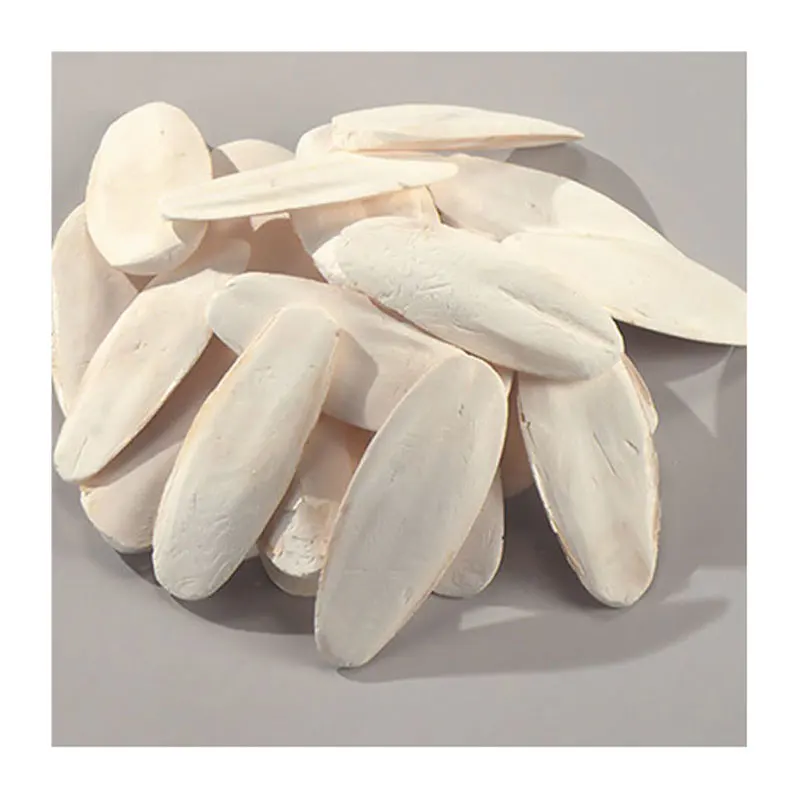 
Cuttle Fish Bone / Dried Washed Cuttle Fish Bone For sale 