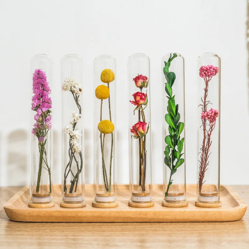 Home Furnishings Wishing Vase Gift Souvenirs Dried Flowers Glass Test Tube Eternal Flower Plant Specimen