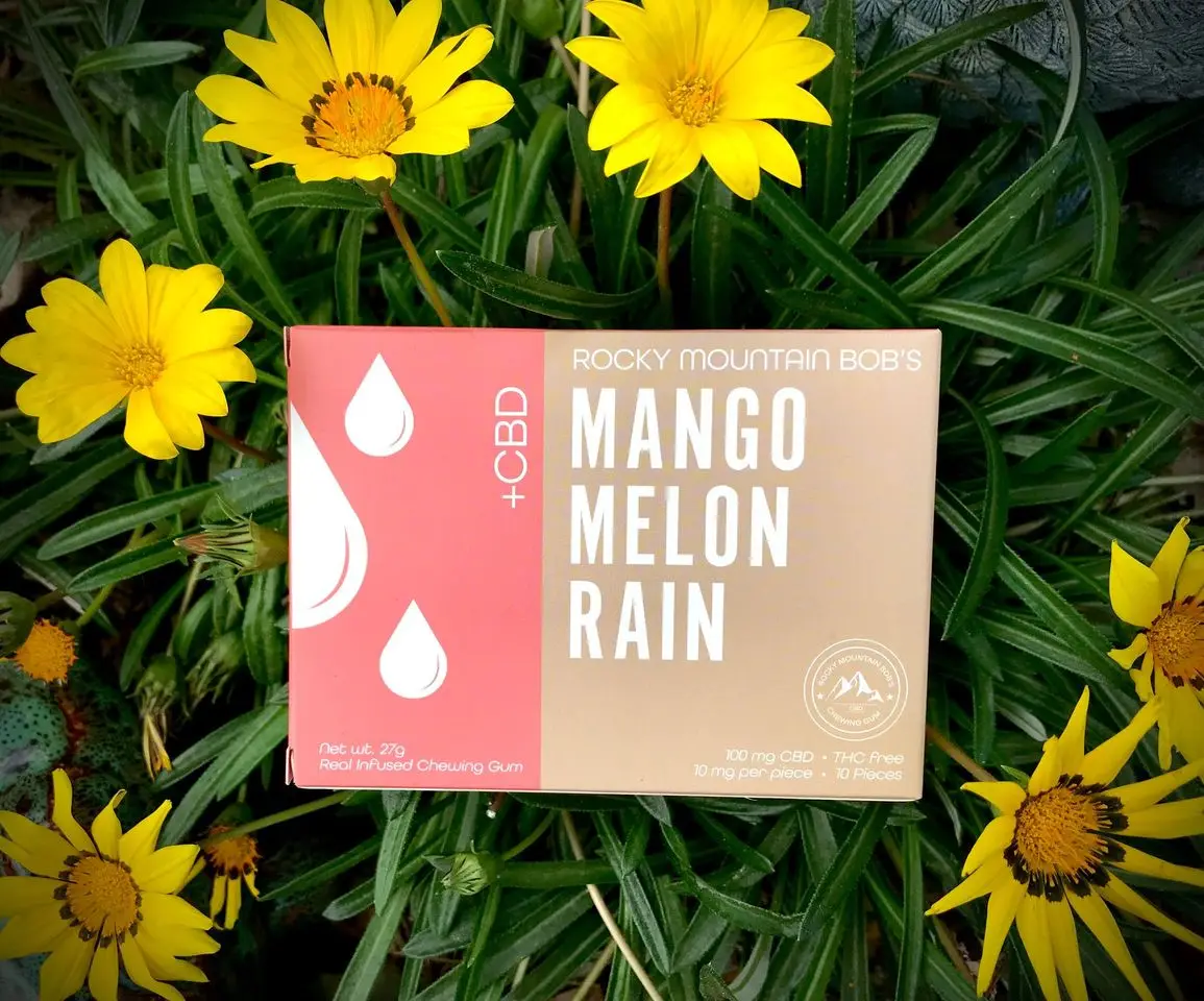 
Wholesale Organic RMB CBD Chewing Gum - 10pack - 10mg/pc - 100mg - Mango Melon Rain 