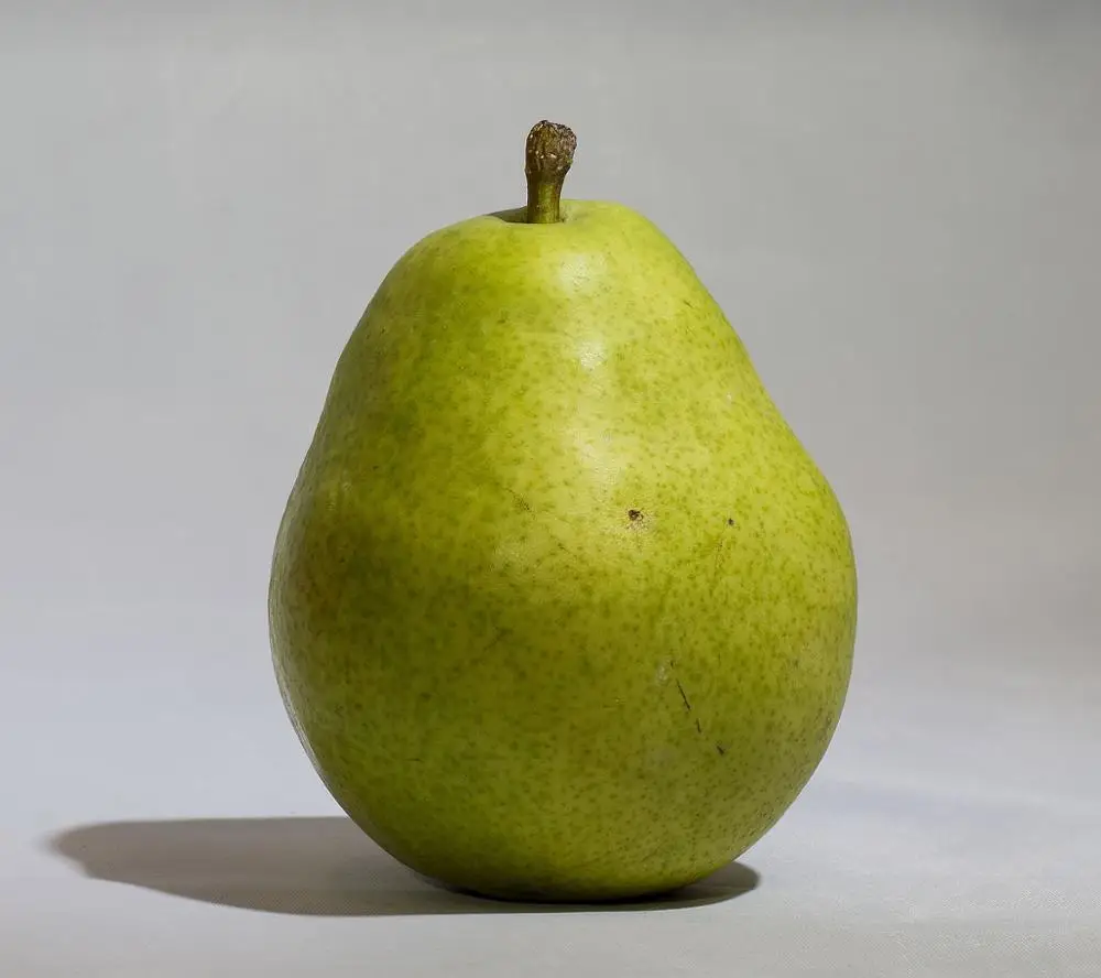 PEAR7.jpg