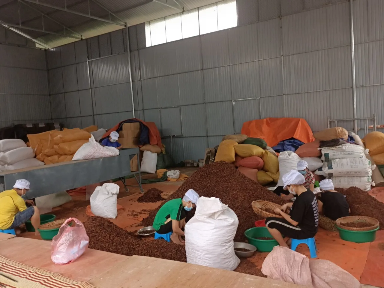 Конкурентоспособная цена/Лучшая цена Звездный анис 2021-натуральный лучшие травы и специи от производителя