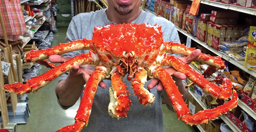 king crab Red King Crab Live and Frozen Red king crab for sale