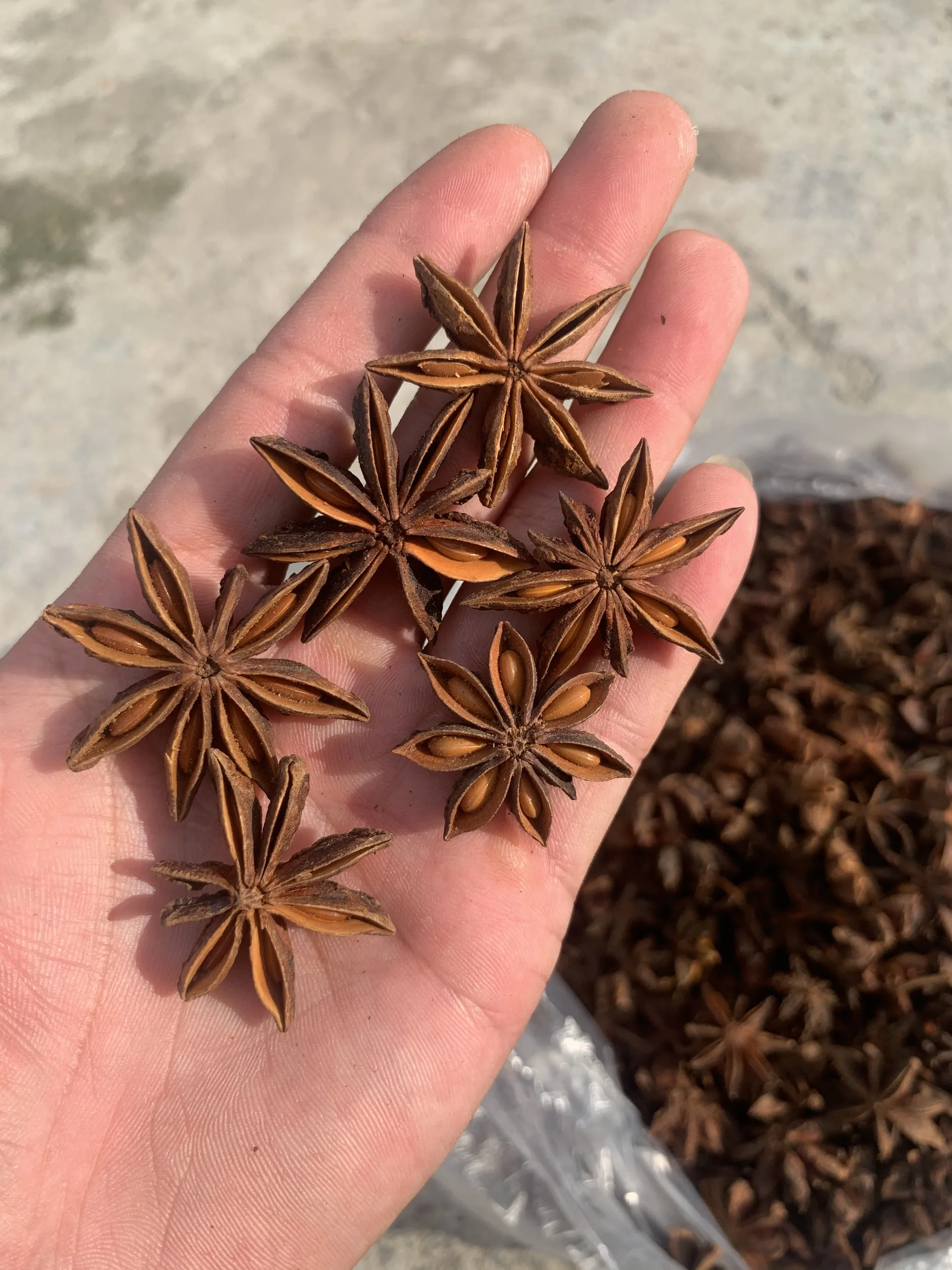 Вьетнамский большой Звездный анис-натуральный красноватый-хорошие цены/сушеный анис-одна пряность K2 красивый анис