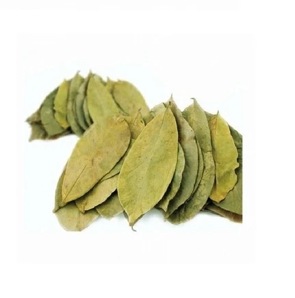 
Dried soursop and moringa powder for processing tea from Vietnam 