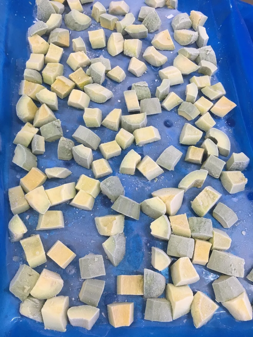 FROZEN AVOCADO FROM VIETNAM WITH HIGH QUALITY AND BEST PRICE