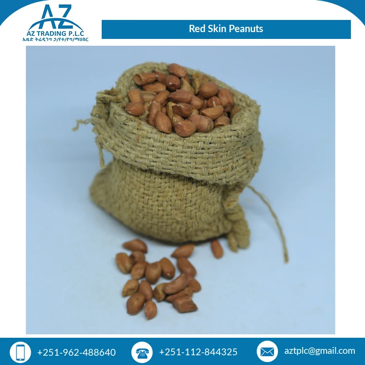 African Supplier Bulk Selling Huge Demand Quality Fresh Red Skin New Crop Peanuts