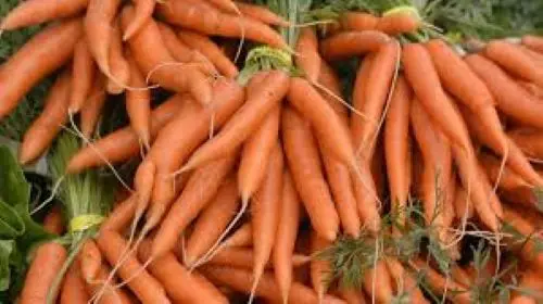 
Long Orange Organic Fresh Carrots 