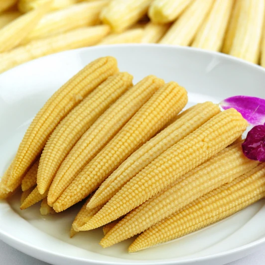 Canned Whole Baby Corn In Brine 15OZ. With Best Price