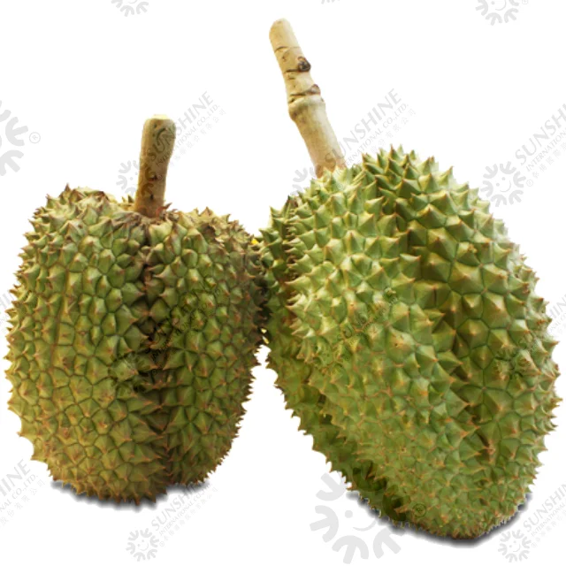 
500g Per Pack Fresh And Sweet No Preservative Special Taste 100% Natural Premium Quality Chilled Durian Monthong Pulp 