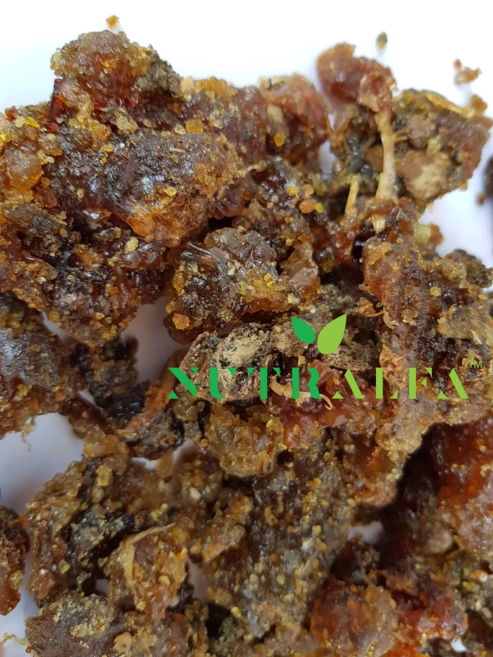 Gum Guggul Pure Grade for Extract - High Guggalsterones E & Z Count