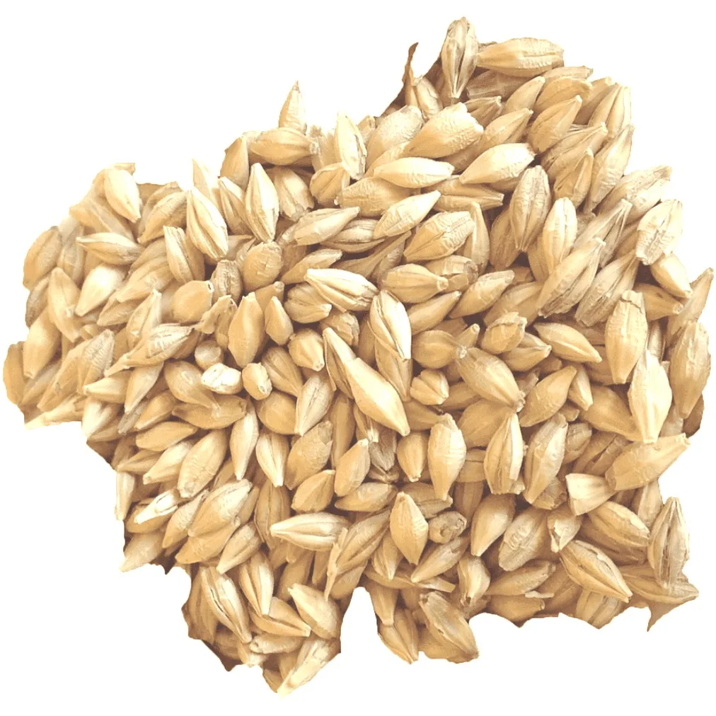 
Kazakhstan Barley Grain Wholesale 