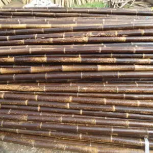 Оптовая продажа лучшее качество вьетнамская бамбуковая палочка для благовоний Agabartti