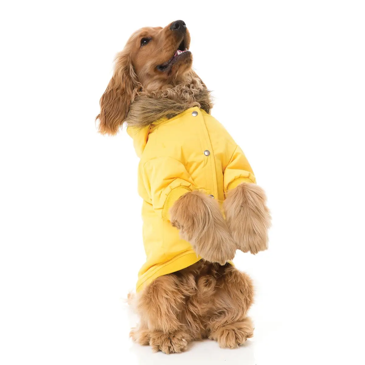 Moscow Duffel Jacket - Yellow Comfortable Adventure Jacket Pet Clothes Recycled Pet Clothes for Dog