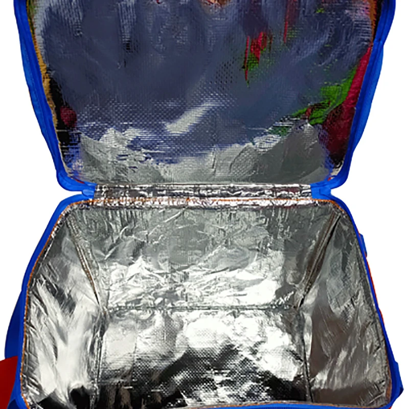 Small Waterproof Food Delivery Backpack Motercyble Delivery Pizza Bag Bike Insulated Aluminium Cooler Bag