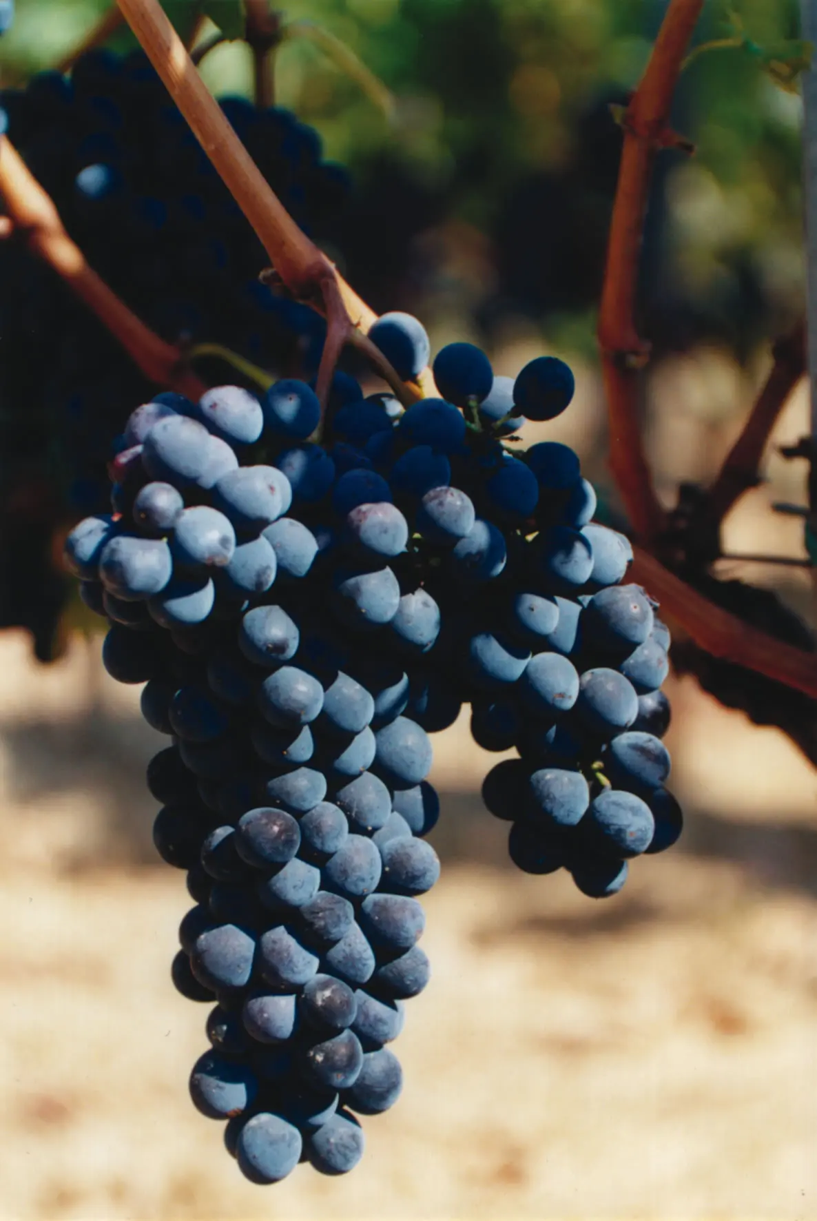 TOP QUALITY ITALIAN RED WINES SET BRUNELLO DI MONTALCINO DOCG RISERVA 2013 AND BRUNELLO DOCG MAGNUM