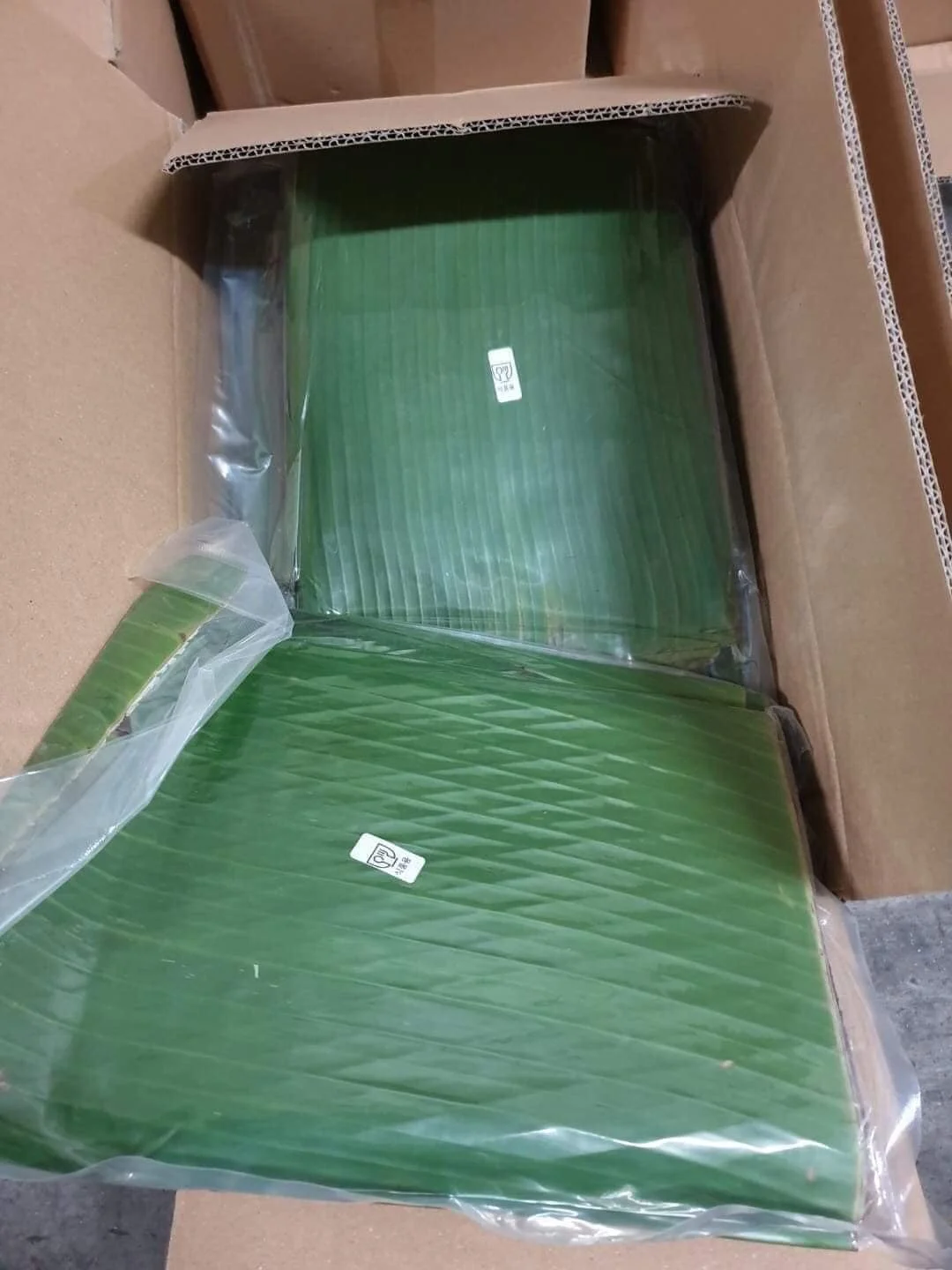 Vietnam Frozen Banana Leaf Fresh Banana Leaves With High Quality +84947900124