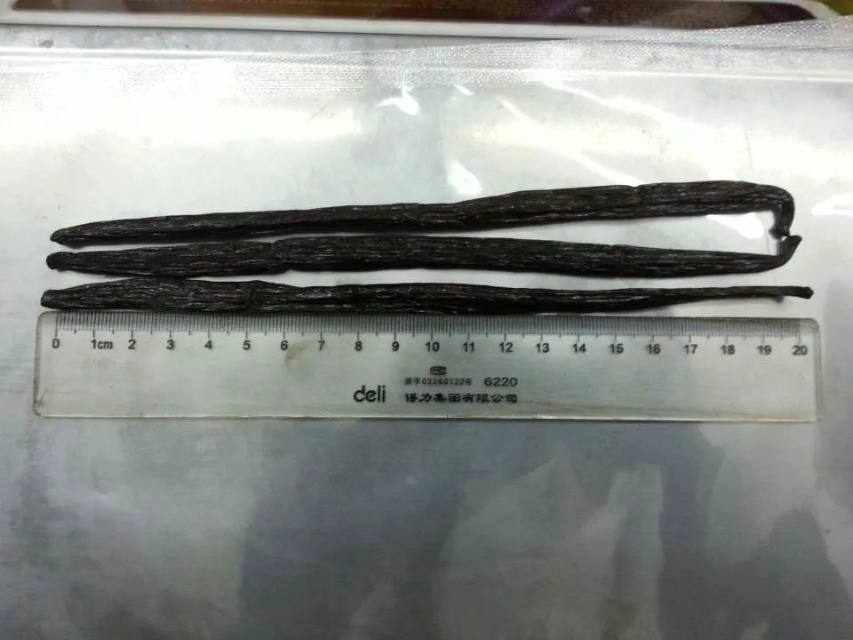 
Black Organic Vanilla beans papua new guinea 