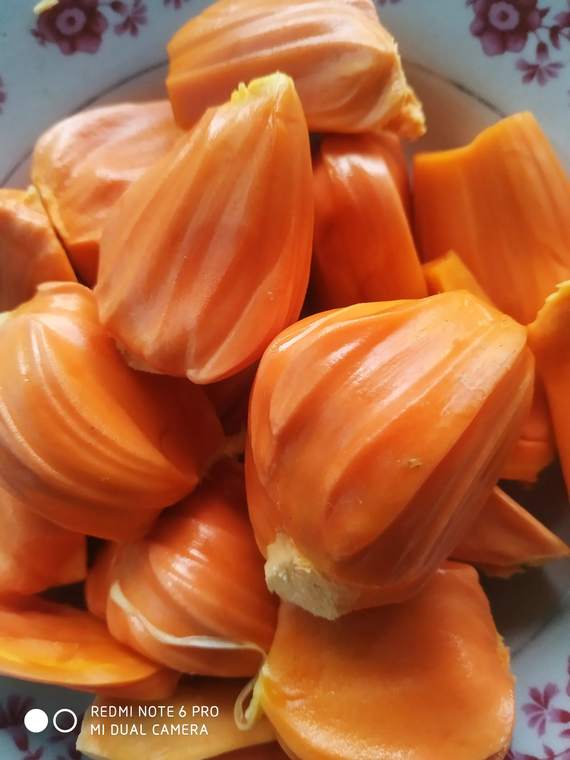 Блок/нарезанный 24 месяцев оболочки жизни со сладким вкусом круглый год сезона заморожена, джекфрут экспорт из Вьетнама