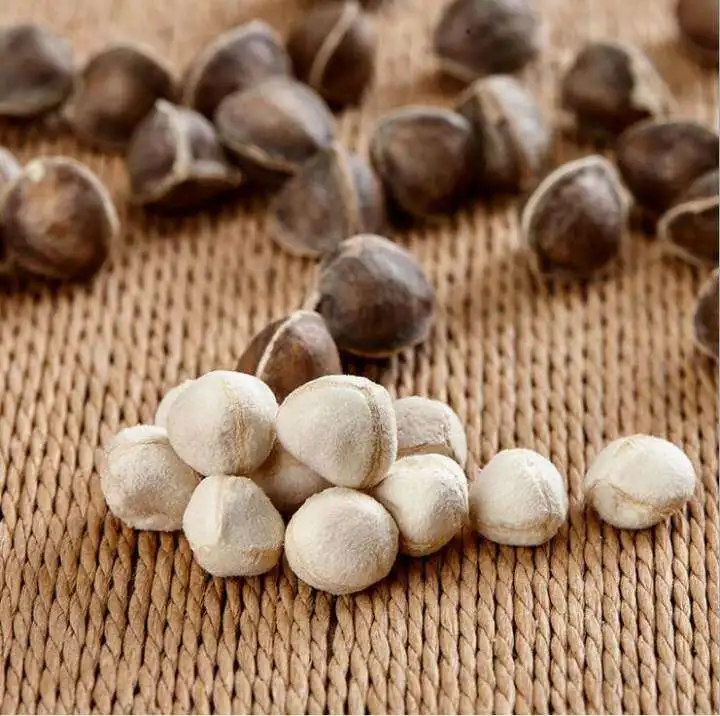 MORINGA LEAF POWDER 5:1 10:1/ Moringa Oleifera Seeds