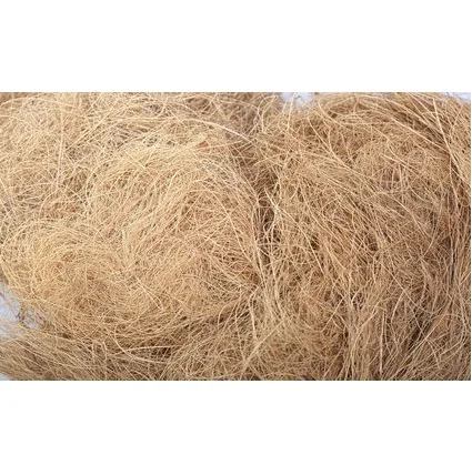 Оптовая продажа кокосового волокна из Вьетнама по хорошей цене и высокого качества