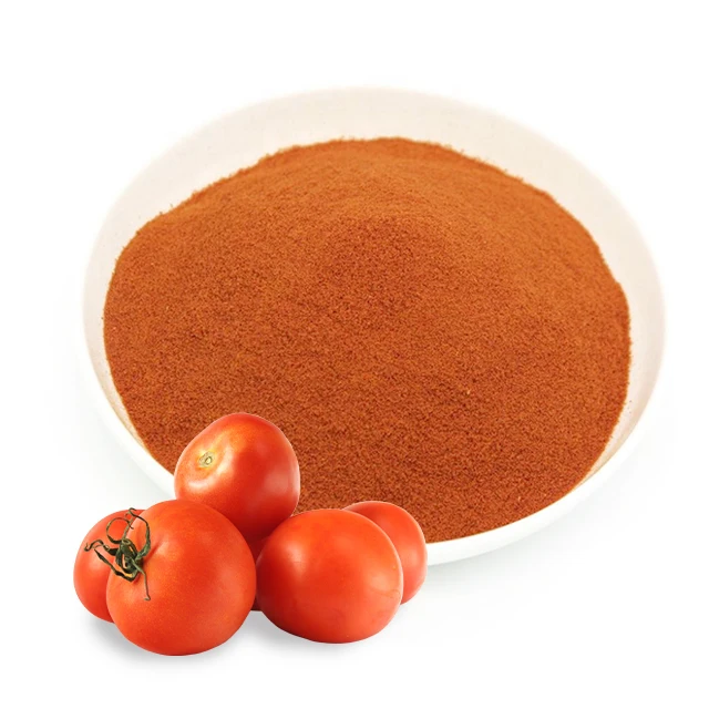 Tomato Soup Seasoning Powder made from spray dried fresh tomatoes / Bulk Tomato Powder Price / Factory supply tomato extract