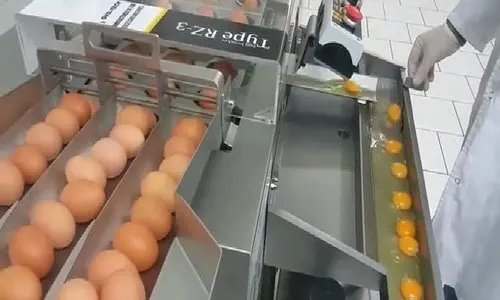  Вьетнамский высококачественный порошок лецитина яичного желтка новинка 2021 - Vivian Ha + 84 33 88 20 462