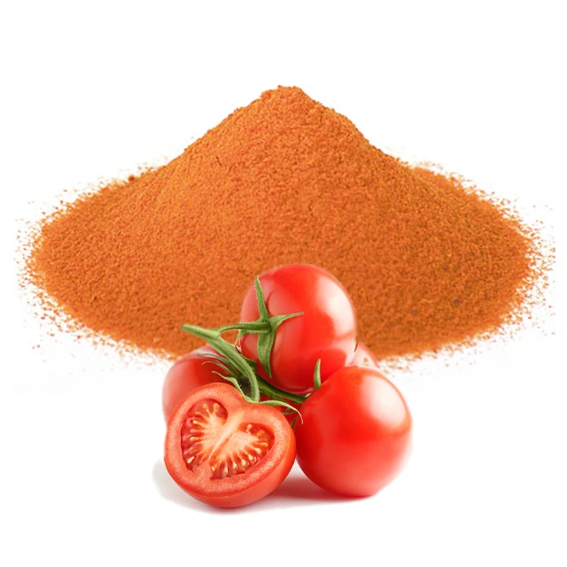 Tomato Soup Seasoning Powder made from spray dried fresh tomatoes / Bulk Tomato Powder Price / Factory supply tomato extract