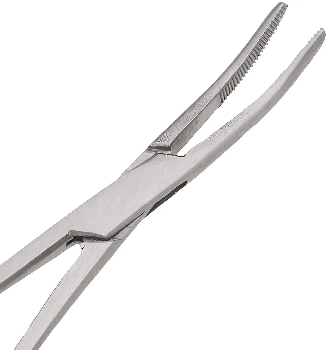 Pair of Fishing Forceps, Straight and Curved, Stainless Steel - Ideal Fishing Pliers for Any Fishing Tackle Kit