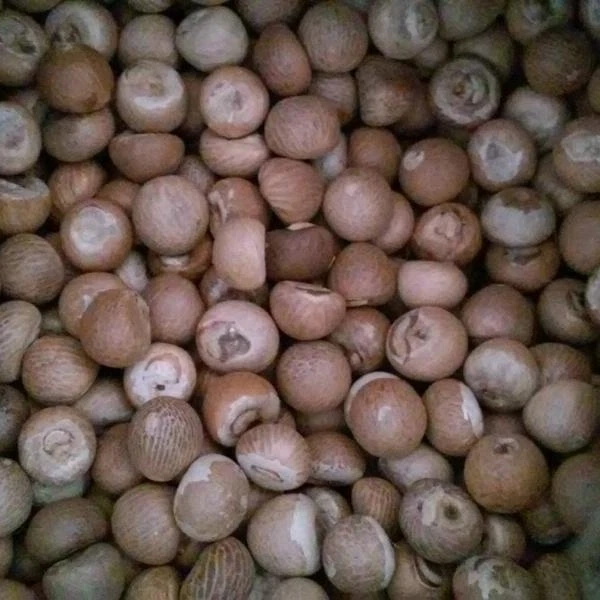 Сушеные Орехи Betel высокого