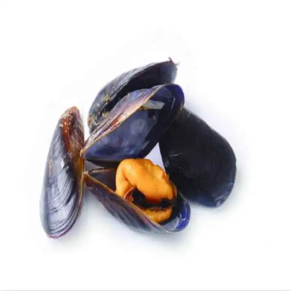 Замороженная приготовленная мишура с половиной скорлупы