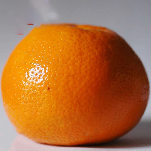 Fresh Pakistani Orange