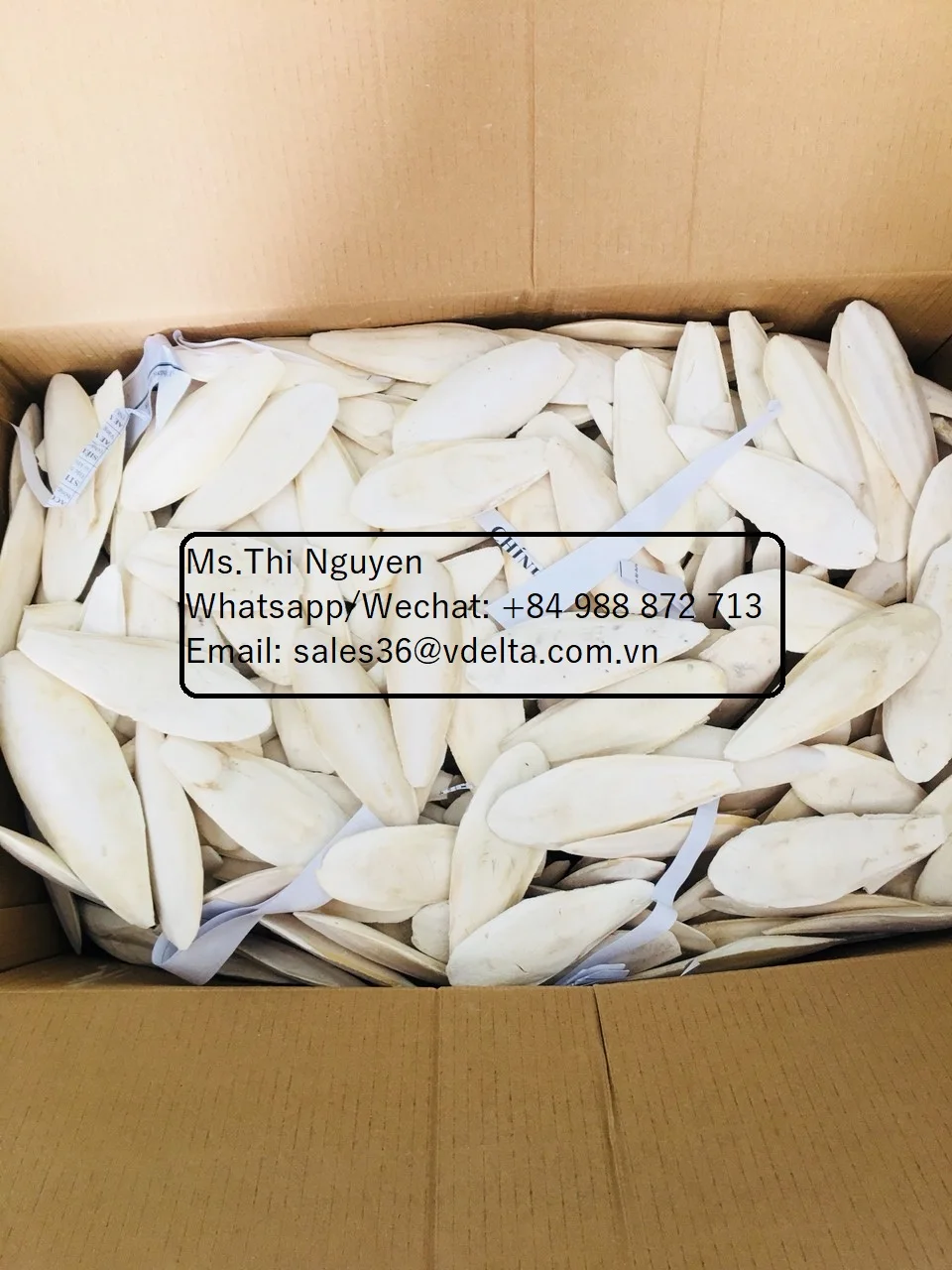 Лучшее качество сушеные кости для морской слепки-корм животных-котелки из Вьетнама/Ms.Thi Нгуен + 84 988 872 713