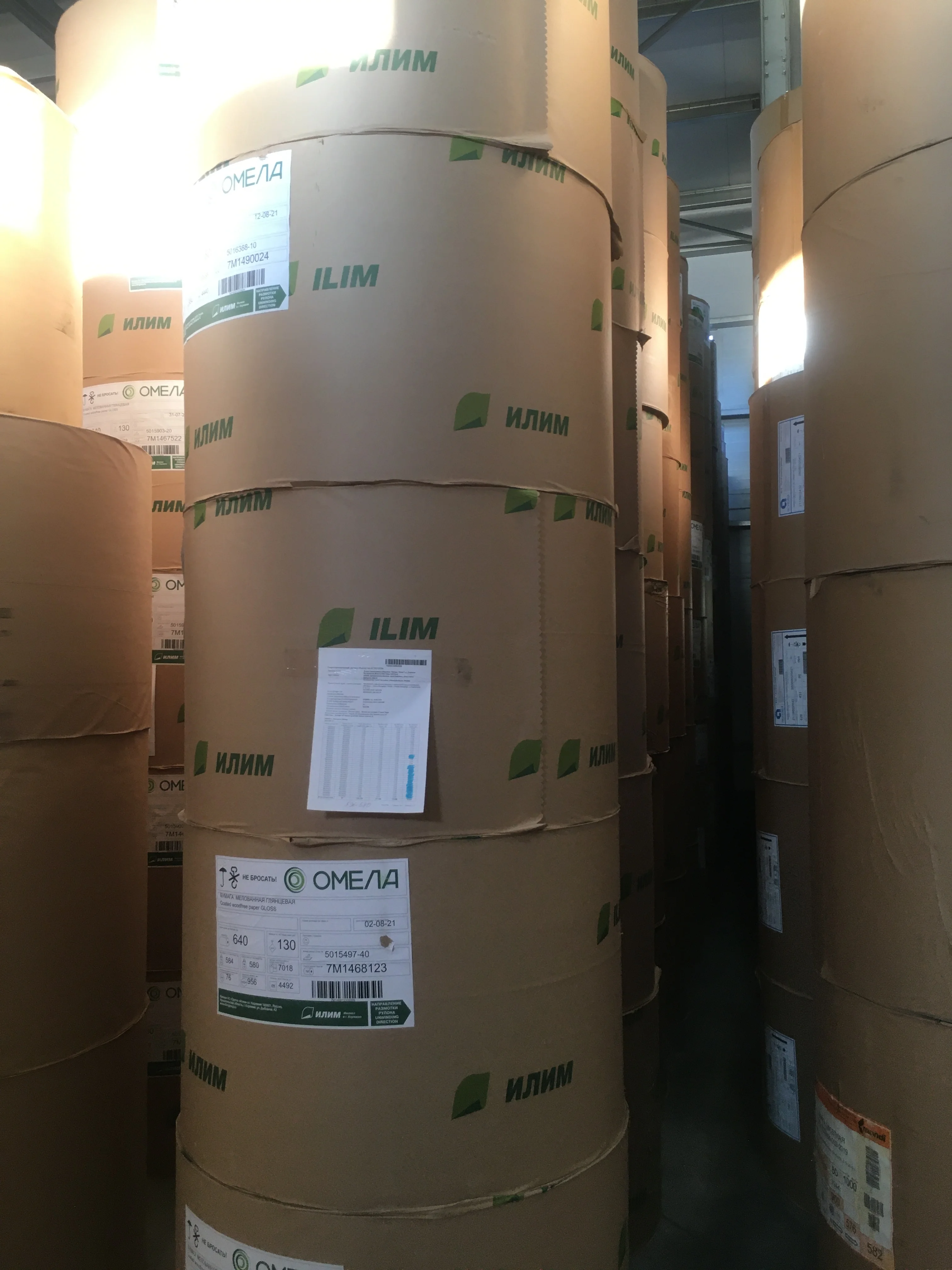 Coated wood free paper MATT