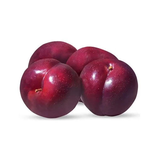 
Wholesale Dealer Of Cheapest Price FRESH PLUMS 