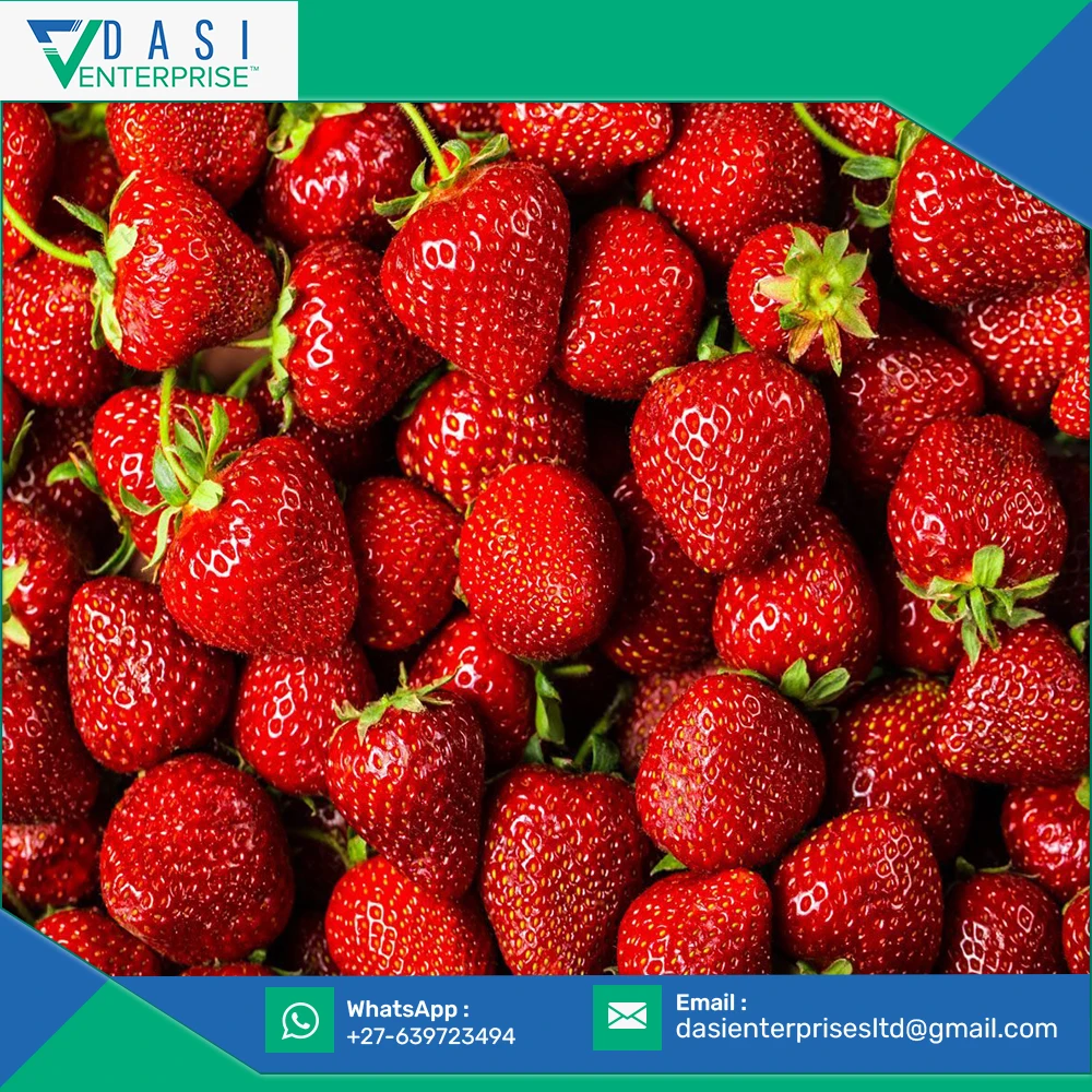  Quality Verified International Selling Of Natural Red Strawberry Full Vitamins In Cheap