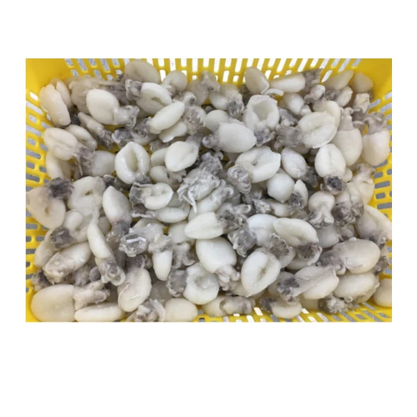 Nutritious Frozen Cuttlefish Whole Round Cleaned for
