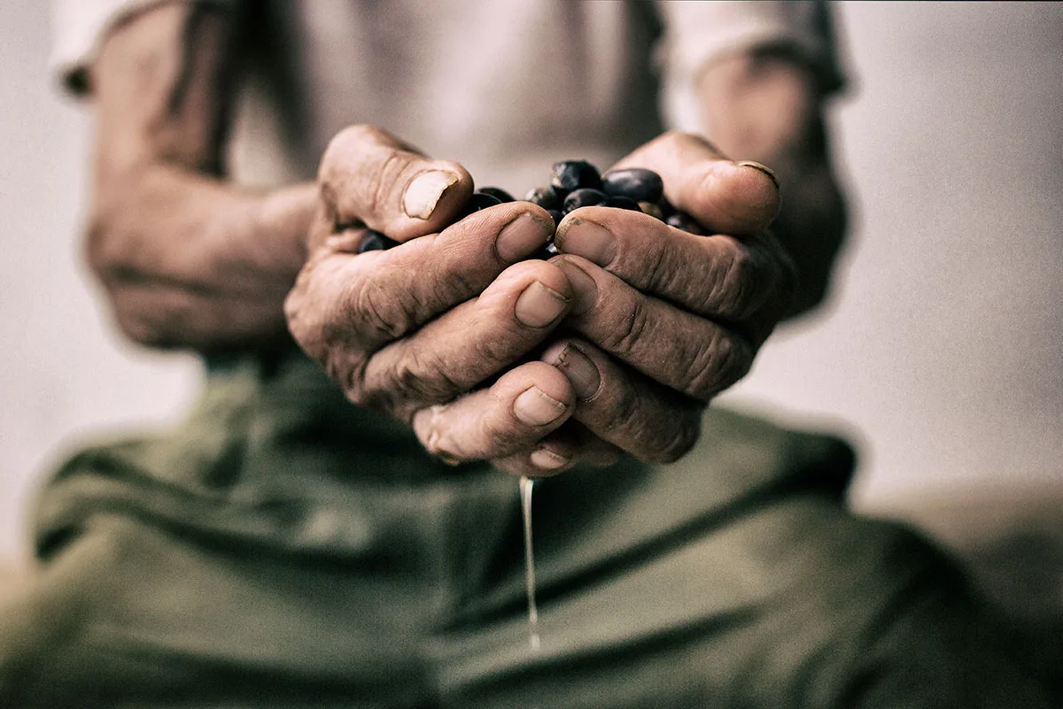 PRIVATE LABEL Italian Pesto Spread of Green Olives with basil for retail