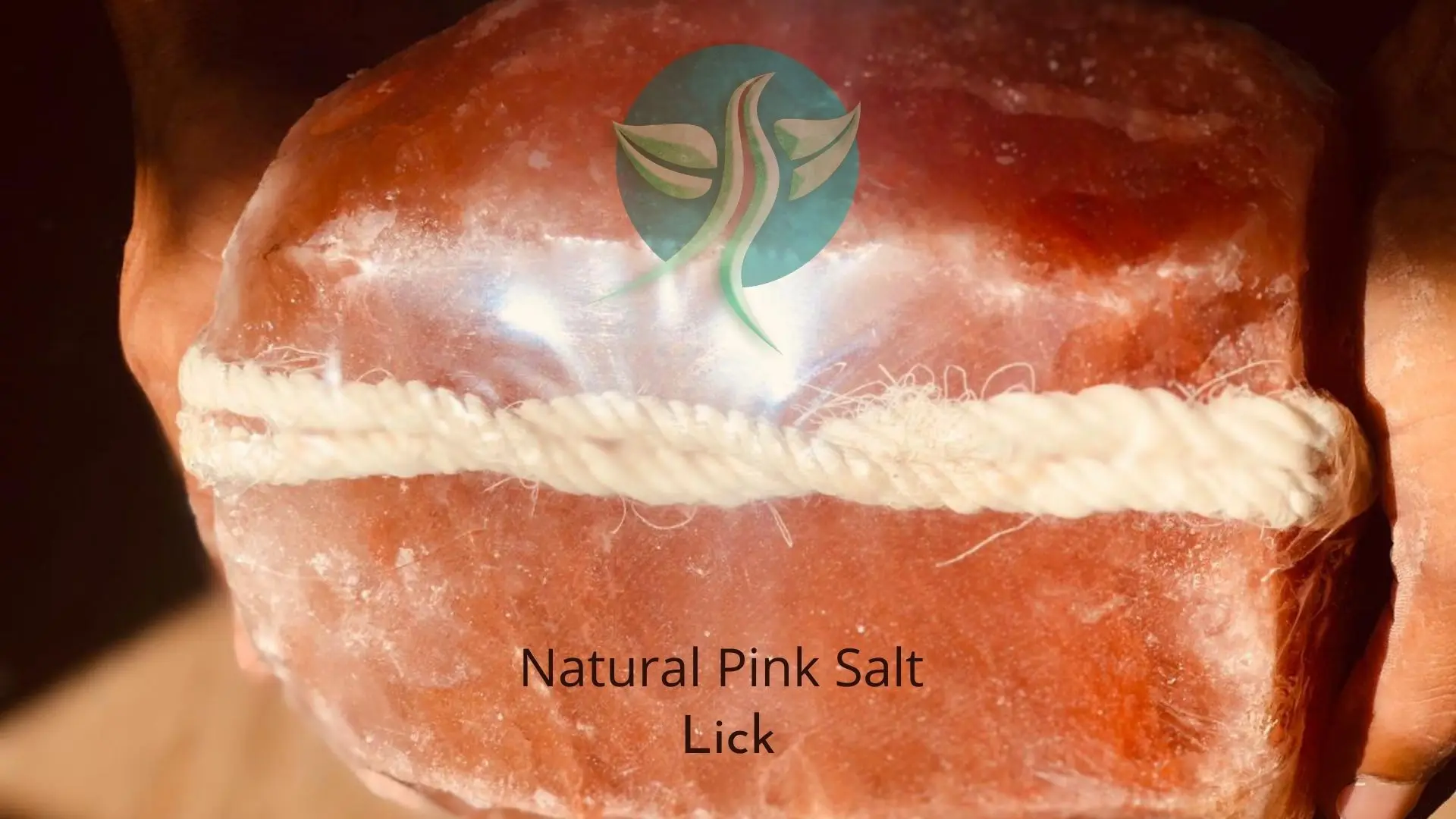 Rock Salt Lick / Pink Salt Lick