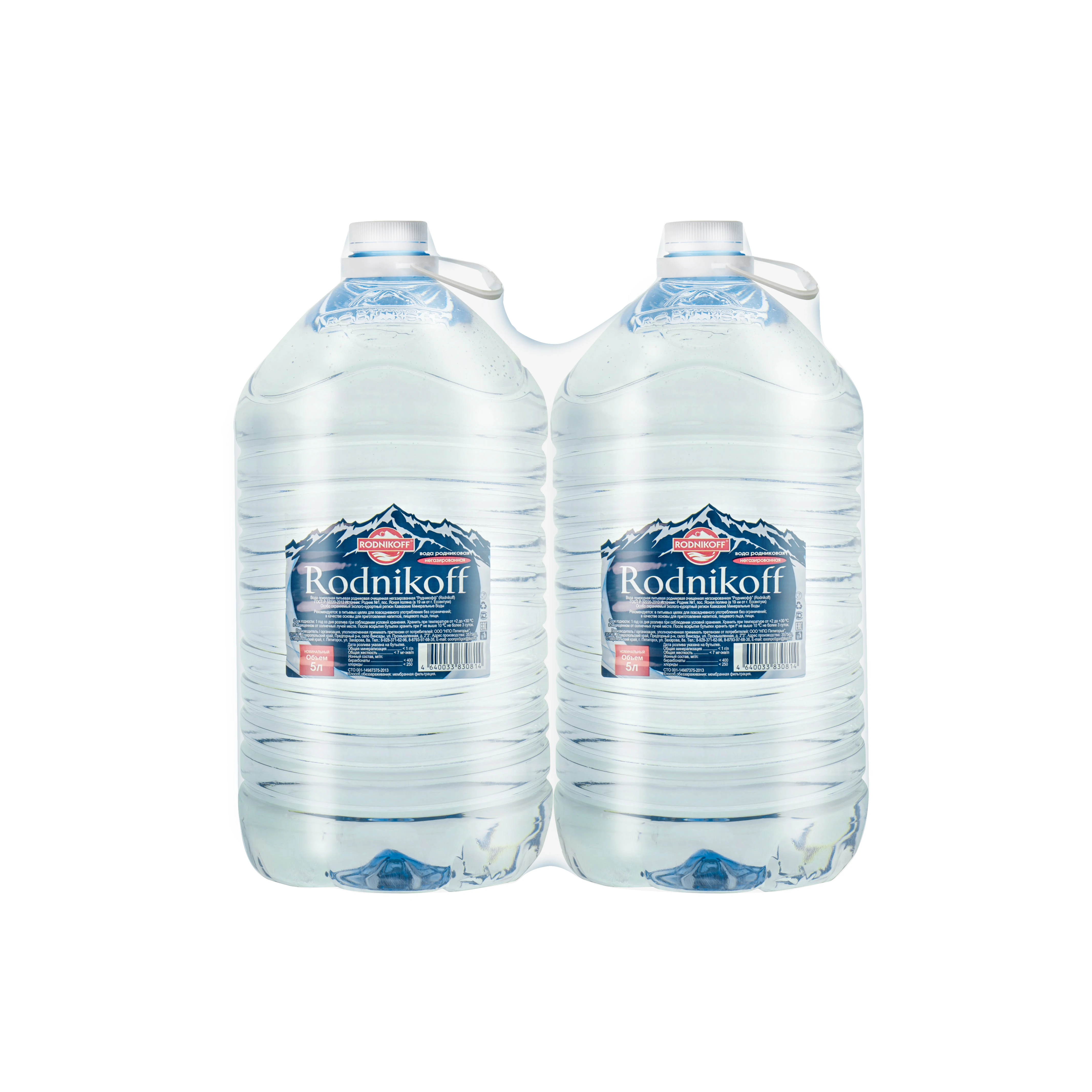 Drinking still water Rodnikoff 5000 ml
