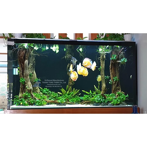 Hot sales 2024 Natural Trunk Driftwood Tree for Aquarium Fish Tank Decoration Ornament Landscape WhatsApp: +84 961005832