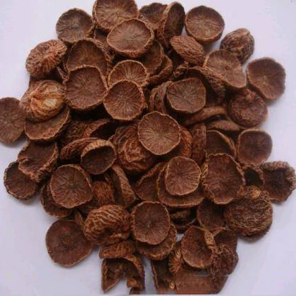 ATL GLOBAL - 100% NATURAL DRIED BETEL NUT WITH HIGH QUALITY FROM VIETNAM ( Whatsapp: +84975262928, Helen)