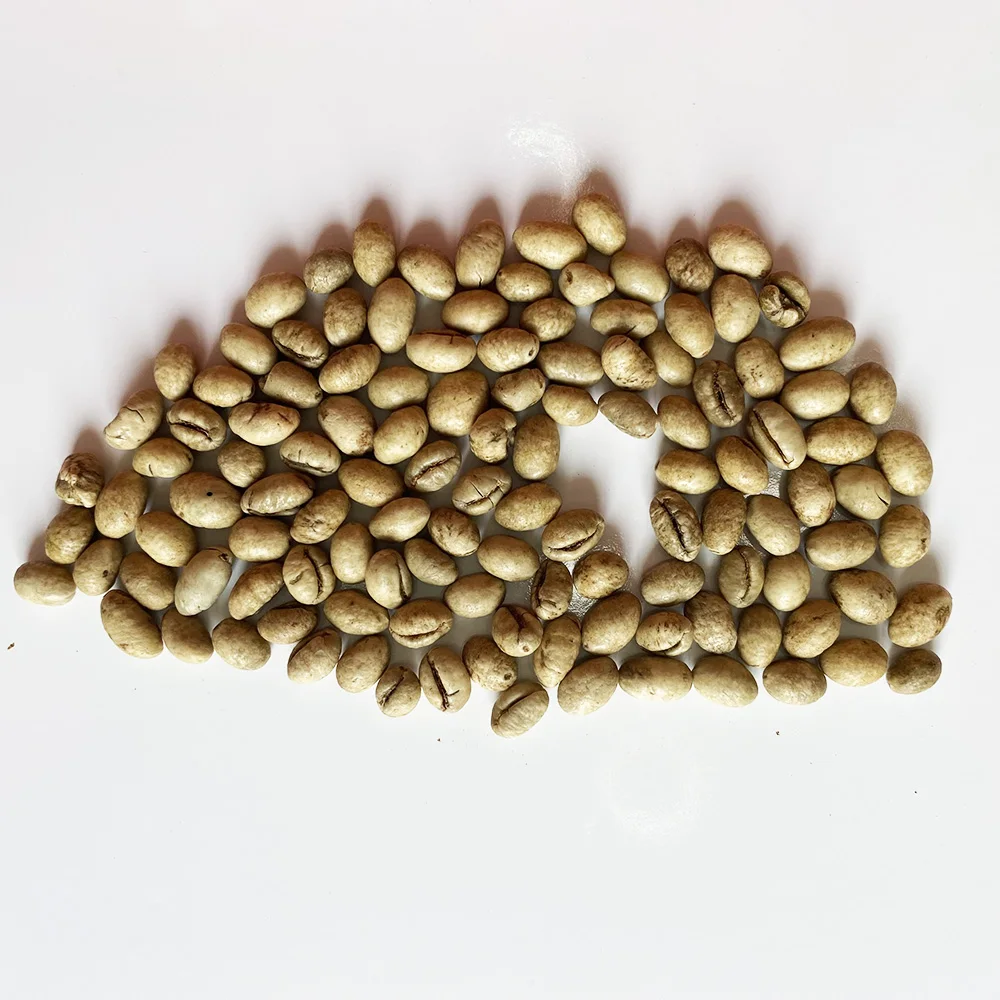 Hot sale 2021 arabica green coffee beans bitter price of raw coffee beans abrabica coffee bags