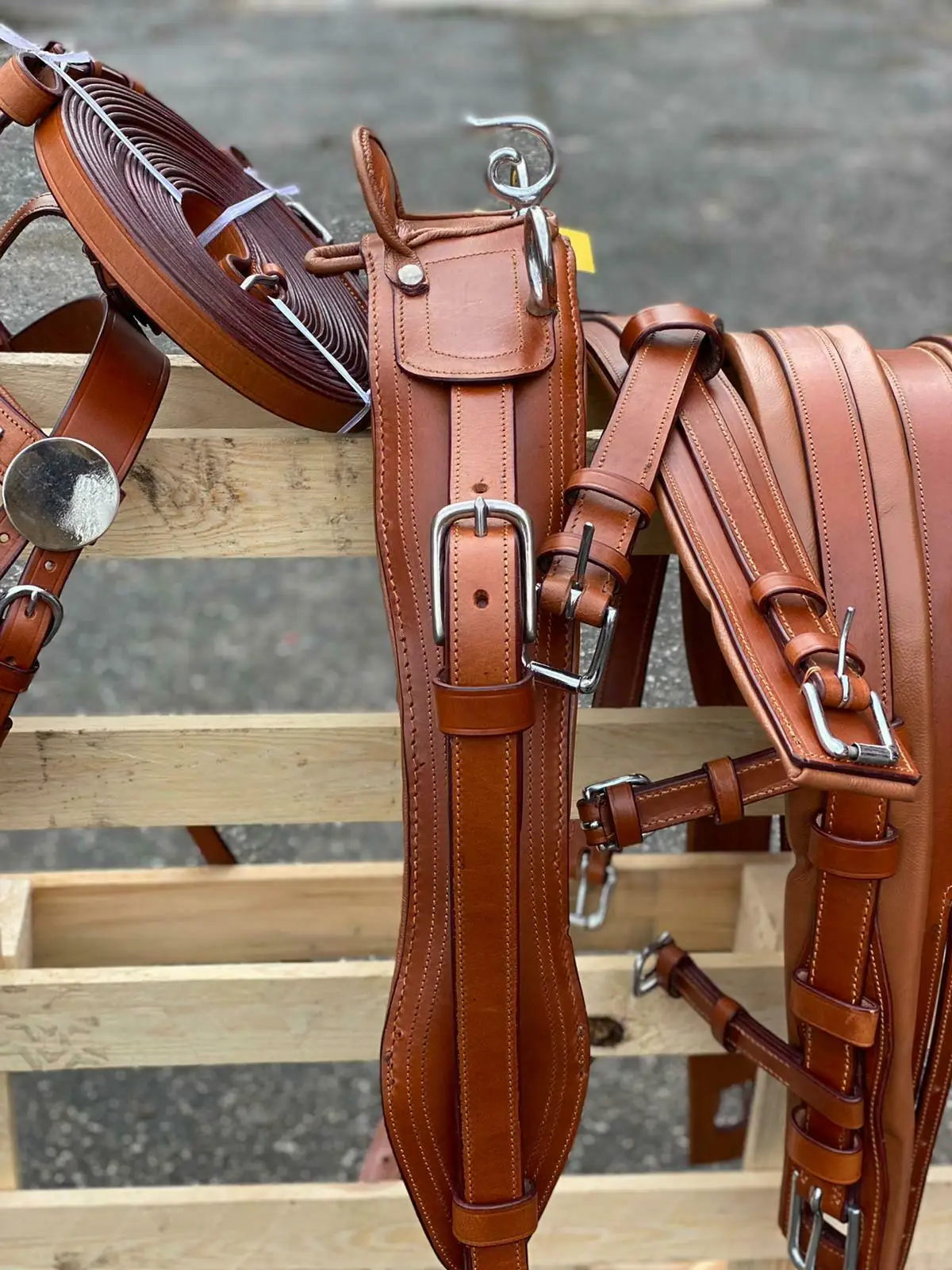 HORSE driving harness